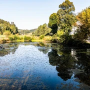 Fischteich am Ende bzw. Anfang des Schlechtenbachtals