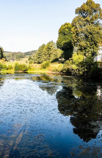 Fischteich am Ende bzw. Anfang des Schlechtenbachtals
