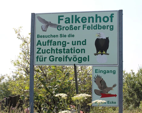 Falkenhof Großer Feldberg