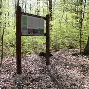 Infotafel Keltensiedlung Heidetränk-Oppidum