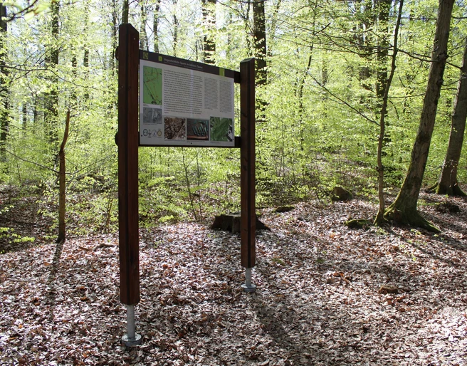Infotafel Keltensiedlung Heidetränk-Oppidum