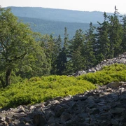 Ringwall auf dem Altkönig