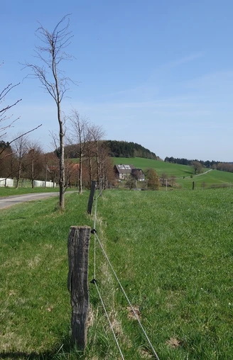 Blick über die Siedlung Wiene hinweg