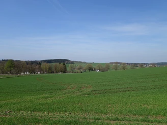 Aussicht entlang des (Höhen-)Weges