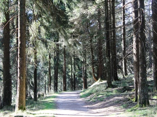 Wanderweg zum Gipfel des Kleinen Feldbergs