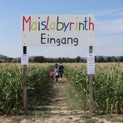 Maislabyrinth Liederbach