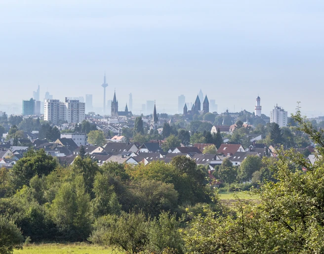 Blick aus dem Kirdorfer Feld auf Bad Homburg und die Frankfurter Skyline
