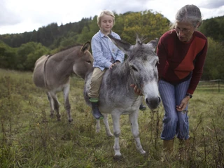 Begegnung mit Eseln