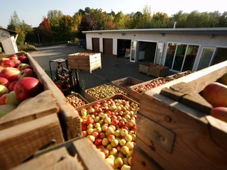 Obstanbau ist Familientradition.