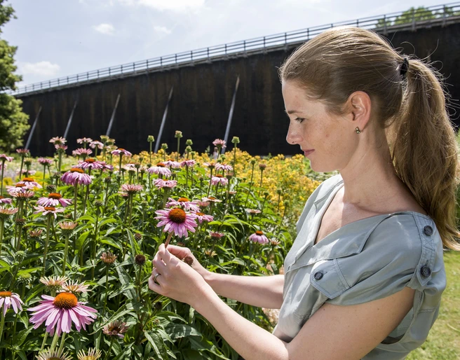 Gesundheitsgarten in Bad Nauheim