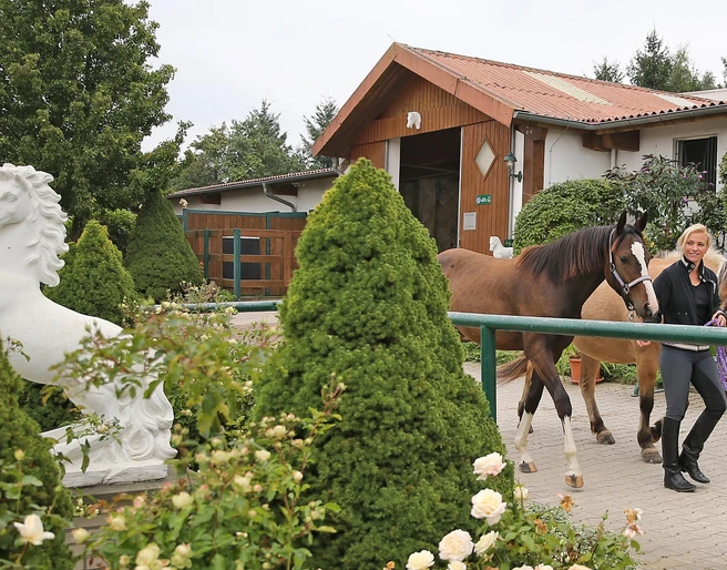 Reitzentrum Hohenstein