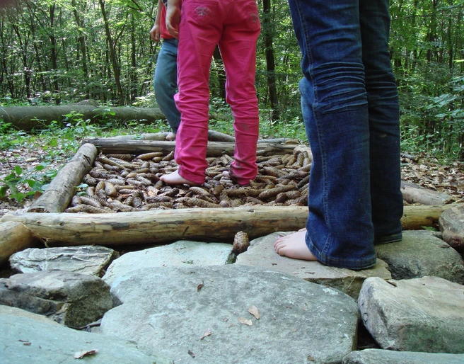 Barfußpfad auf dem Waldlehrpfad Bremthal