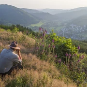Fernblick vom Lenne-Weg