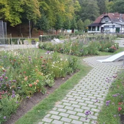 Minigolfanlage mit Blick auf das Golfhaus