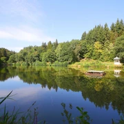 Waldsee