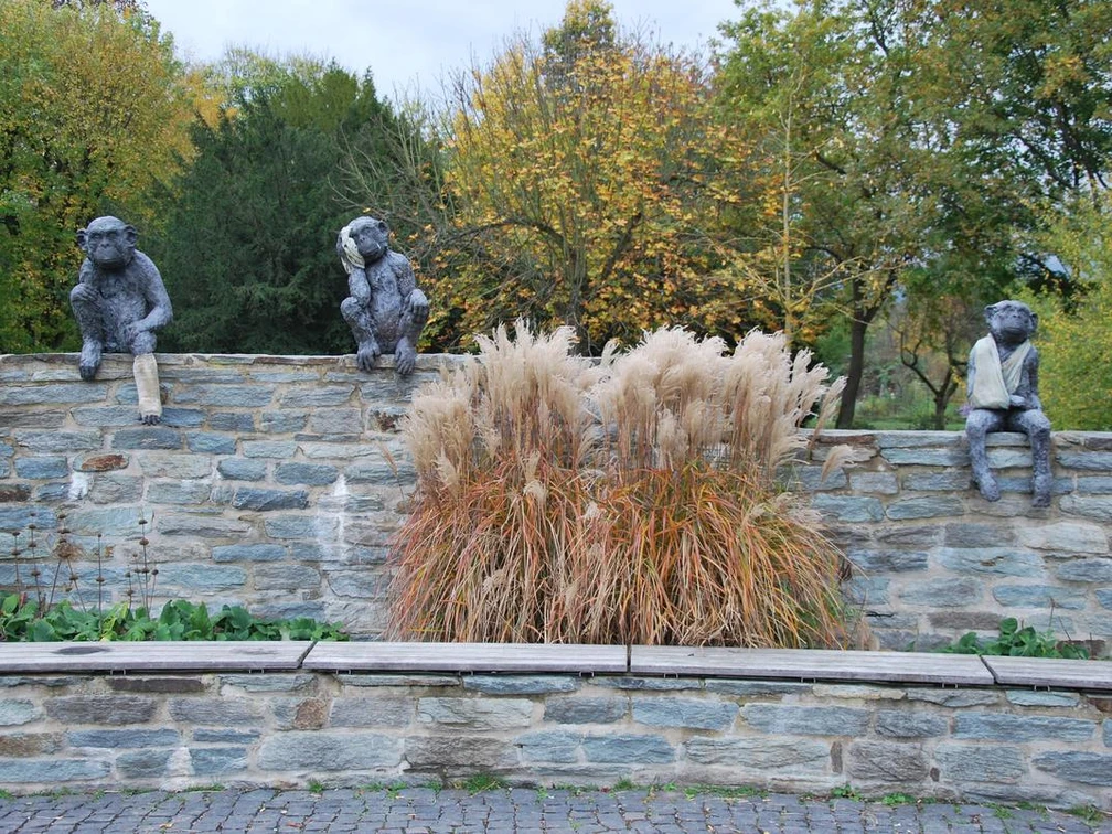 Laura Ford "A & E Monkey" (2012) seit 2017 in Eschborn Kunstinstallation mit 3 Affen, die auf einer Mauer sitzen. Sie haben unterschiedliche Körperteile verbunden. Vor der Muer ist ein mittelhohes Federgras gepflanzt, davor eine Sitzbank.