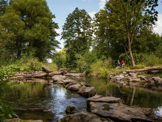 Radeln entlang des MöhnetalRadwegs