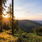 Aussicht vom Grenzweg bei Schmallenberg-Jagdhaus