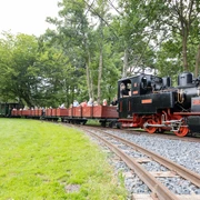 Eine historische Dampfeisenbahn fährt durch eine grüne Landschaft, umgeben von Bäumen und Fahrgästen.