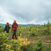 Wanderpaar auf einem Hoehenzug im Sauerland