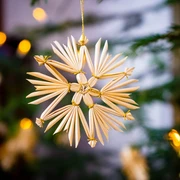 Weihnachtsstern