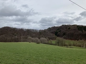 Wiesenlandschaft bei Eimelrod