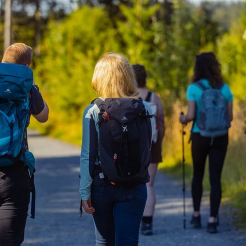 Wandergruppe im Upland