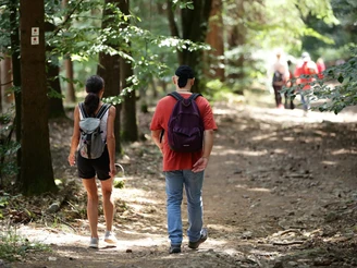 Heilklima-Wanderung - Unterwegs im Heilklima-Park Hochtaunus