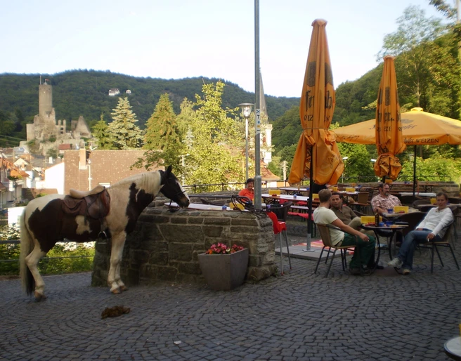 Blick auf Burg Eppstein