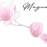 Restaurant "Magnolia"