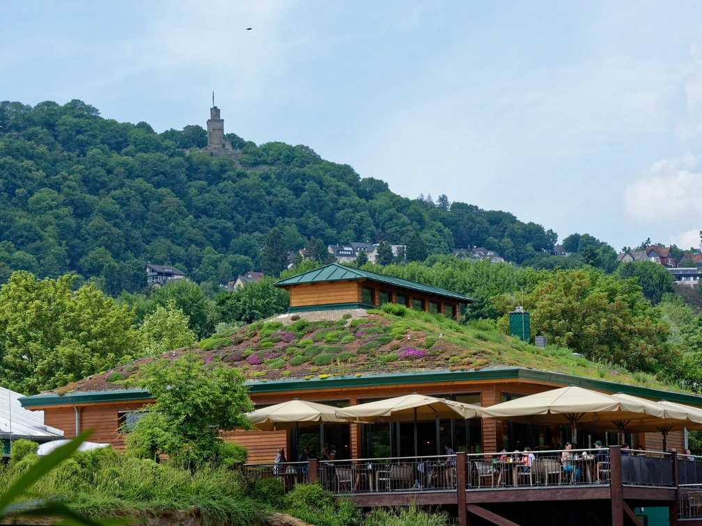 Restaurant Sambesi im Opel-Zoo