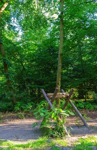 Trimm-Dich-Pfad im Hardtwald