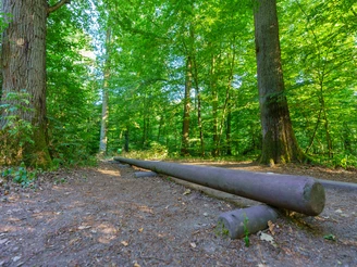 Trimm-Dich-Pfad im Hardtwald