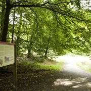 Info-Tafel am Limeserlebnispfad Hochtaunus