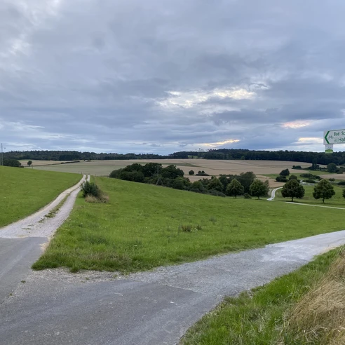 Aartalradweg am Halberg