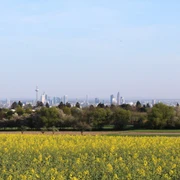 Blick auf die Skyline Frankfurt im Vordertaunus