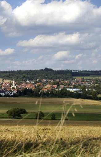Blick auf Usingen