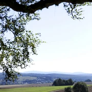 Umgebung von Bad Camberg
