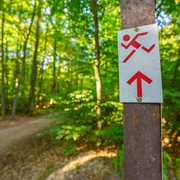 Rote Route im Hardtwald