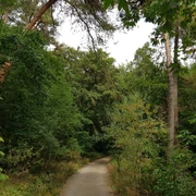 Die Jammerecke im Nordic-Walking-Park Merzhausen