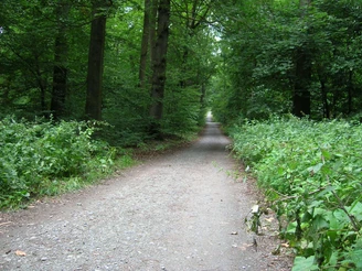 "Gehen hält fit" auf dem "Ochsenweg"