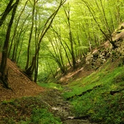 Wisper Trail Im Wisper Outback