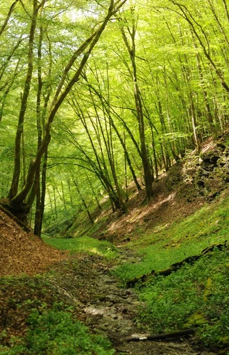 Wisper Trail Im Wisper Outback