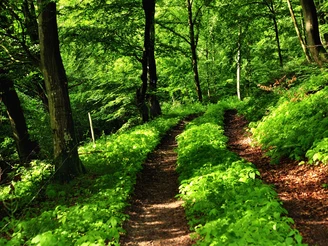 Wisper Trail Im Wisper Outback