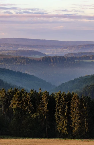 Wisper Trail Naurother Grubengold