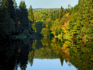 Wisper Trail Naurother Grubengold