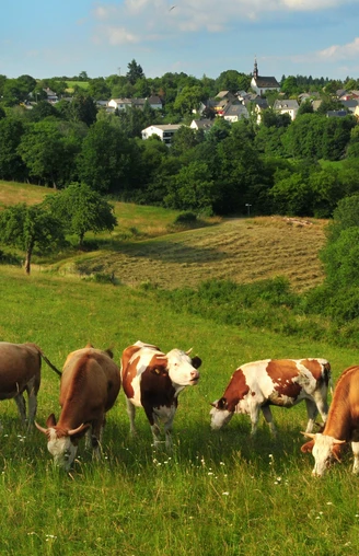 Wisper Trail Der Überhöhische