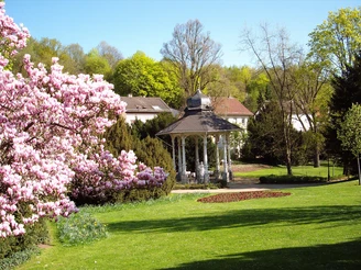 Magnolien am Sodenia-Tempel