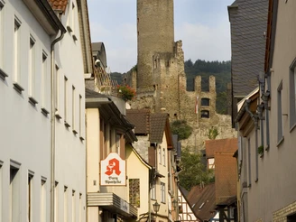 Burgruine Eppstein thront über der Altstadt