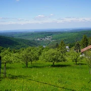Taunus Schinderhannes Steig